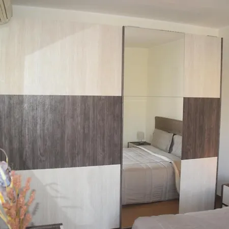 Gus On The Apartment